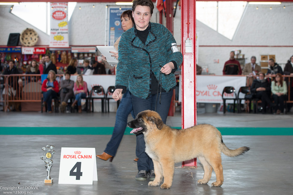 gal/Expo_janvier_2015/2015-02-27 13.31.36-1.jpg